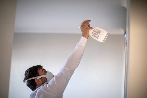 Best Toxic Mold Removal  in Bertville, AL