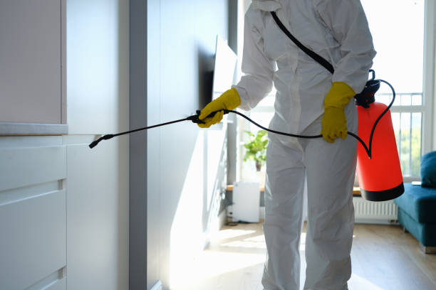 Best Certified Mold Removal  in Bertville, AL