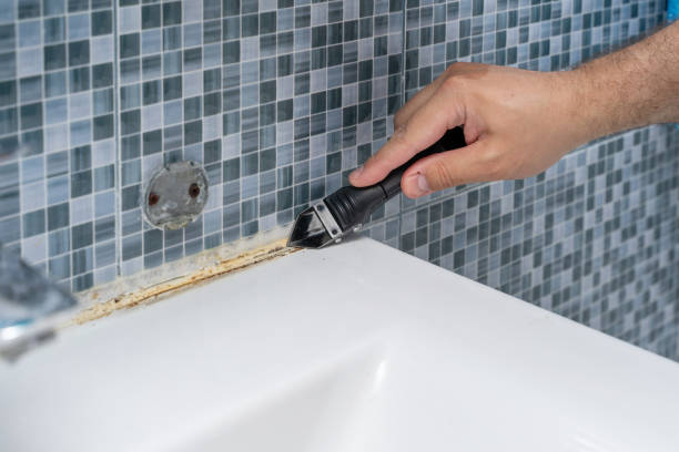Best Water Damage Restoration  in Bertville, AL